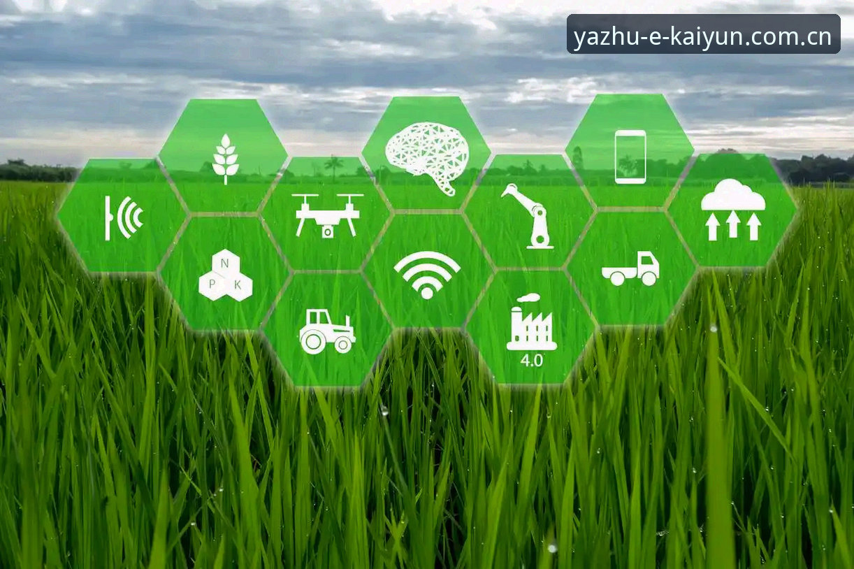 kaiyun体育平台全面评测：2025年在线娱乐生态与工具深度分析